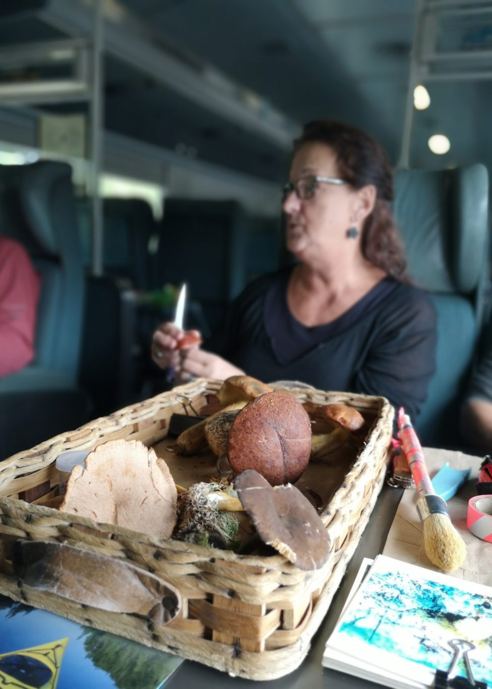 Lorraine Hallé (en formation dans un train)